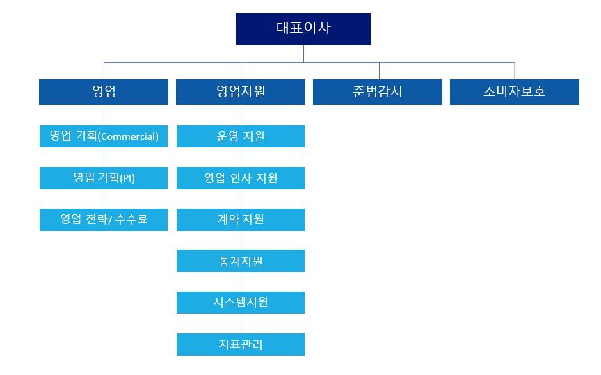 AIG Advisors 조직도
